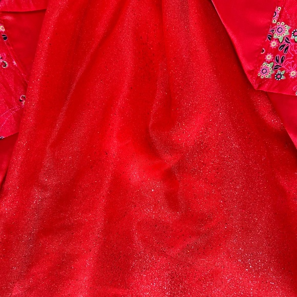 Elena of Avalor Costume - Picture 3 of 5